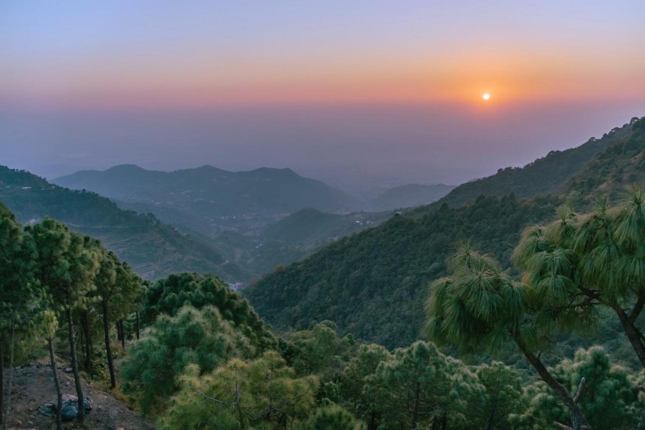 Panormic View By The North Edge Apartman Kasauli Kültér fotó